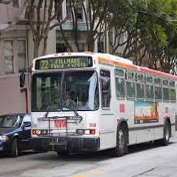 muni bus